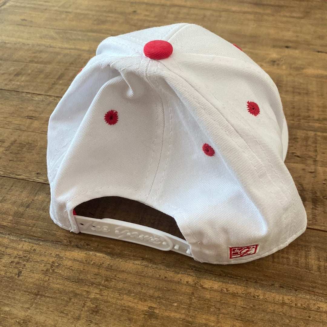 Wisconsin Rainbow Baseball Cap