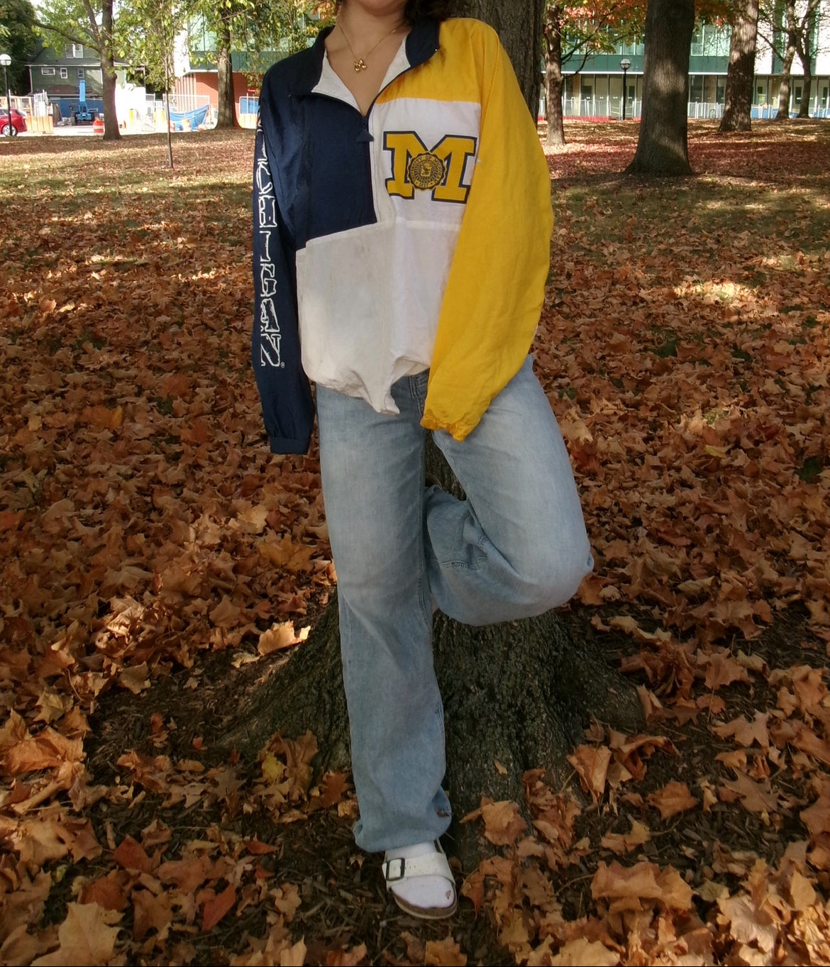 Michigan Vintage Windbreaker