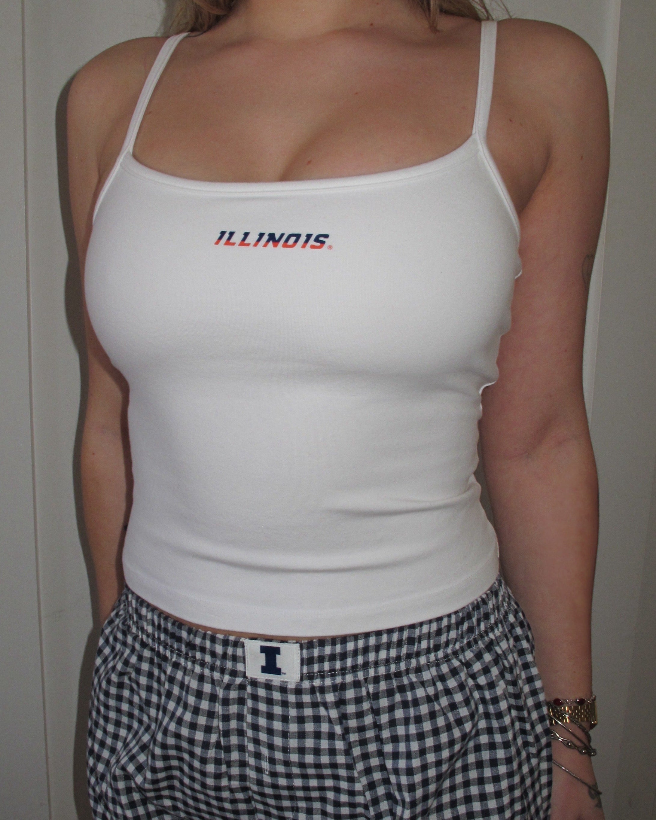 Illinois Stadium Tank