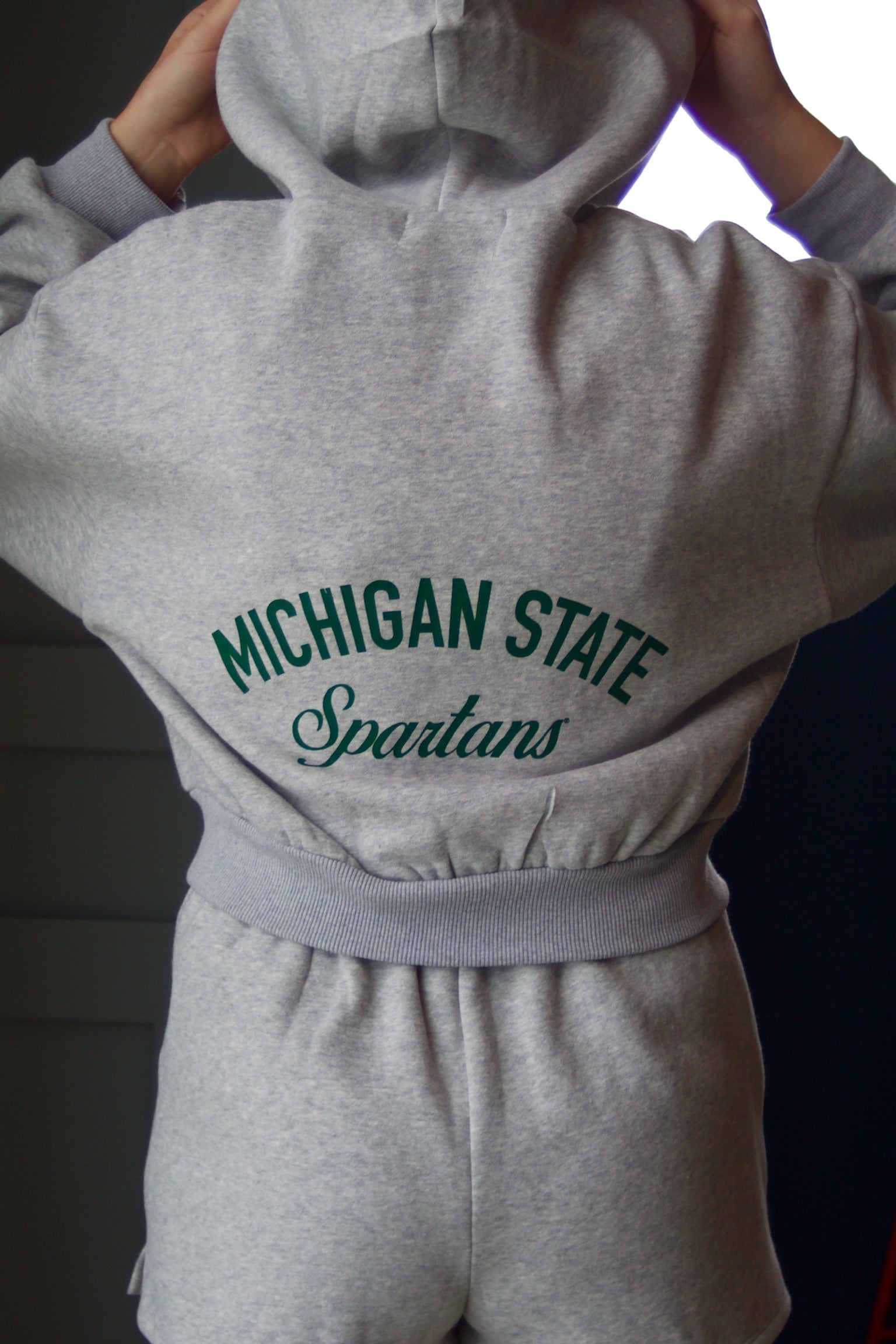 Michigan State Crop Full Zip