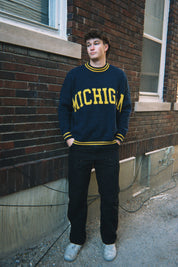 Michigan Library Sweater