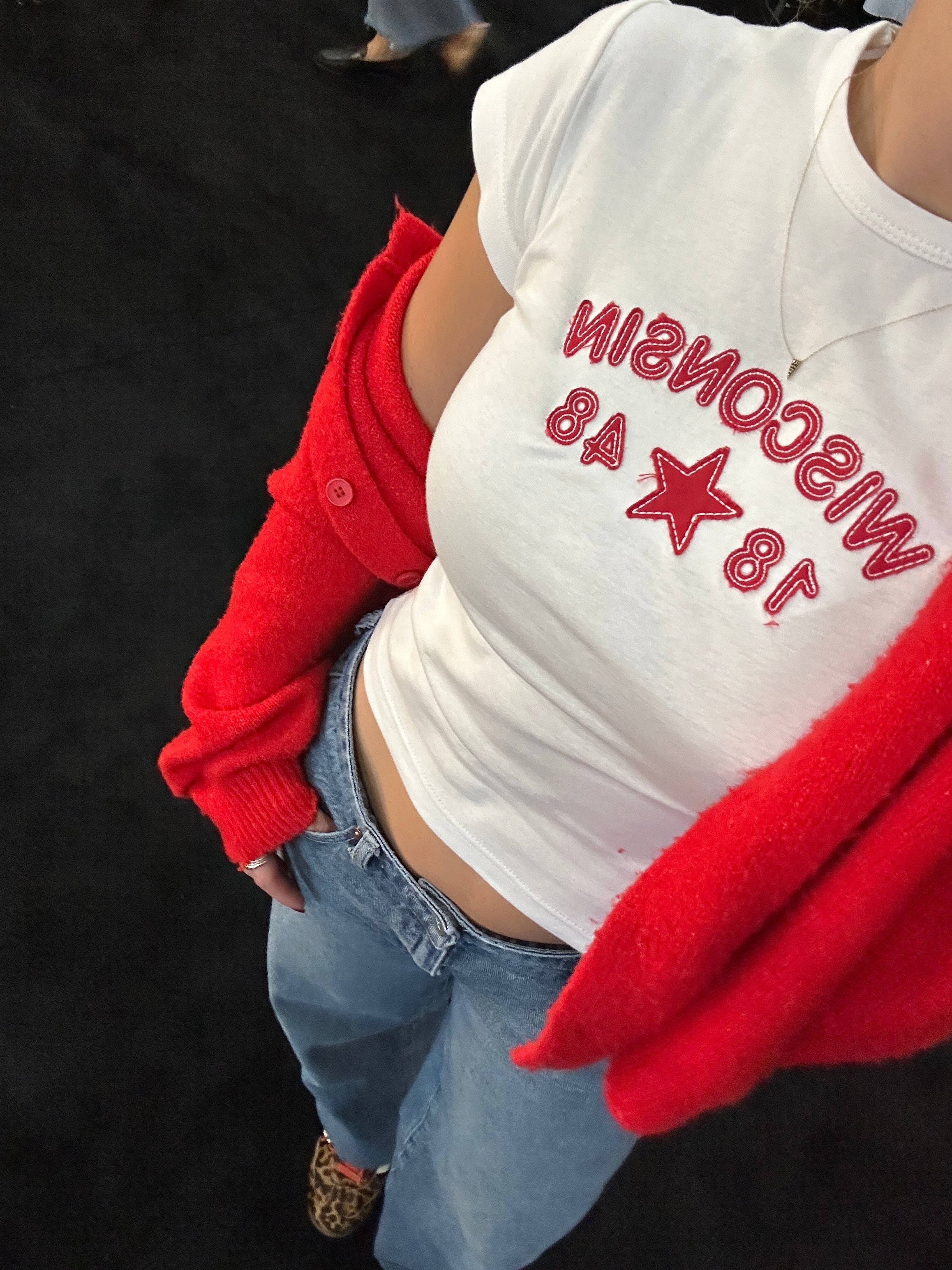 Wisconsin 1884 Applique Tee