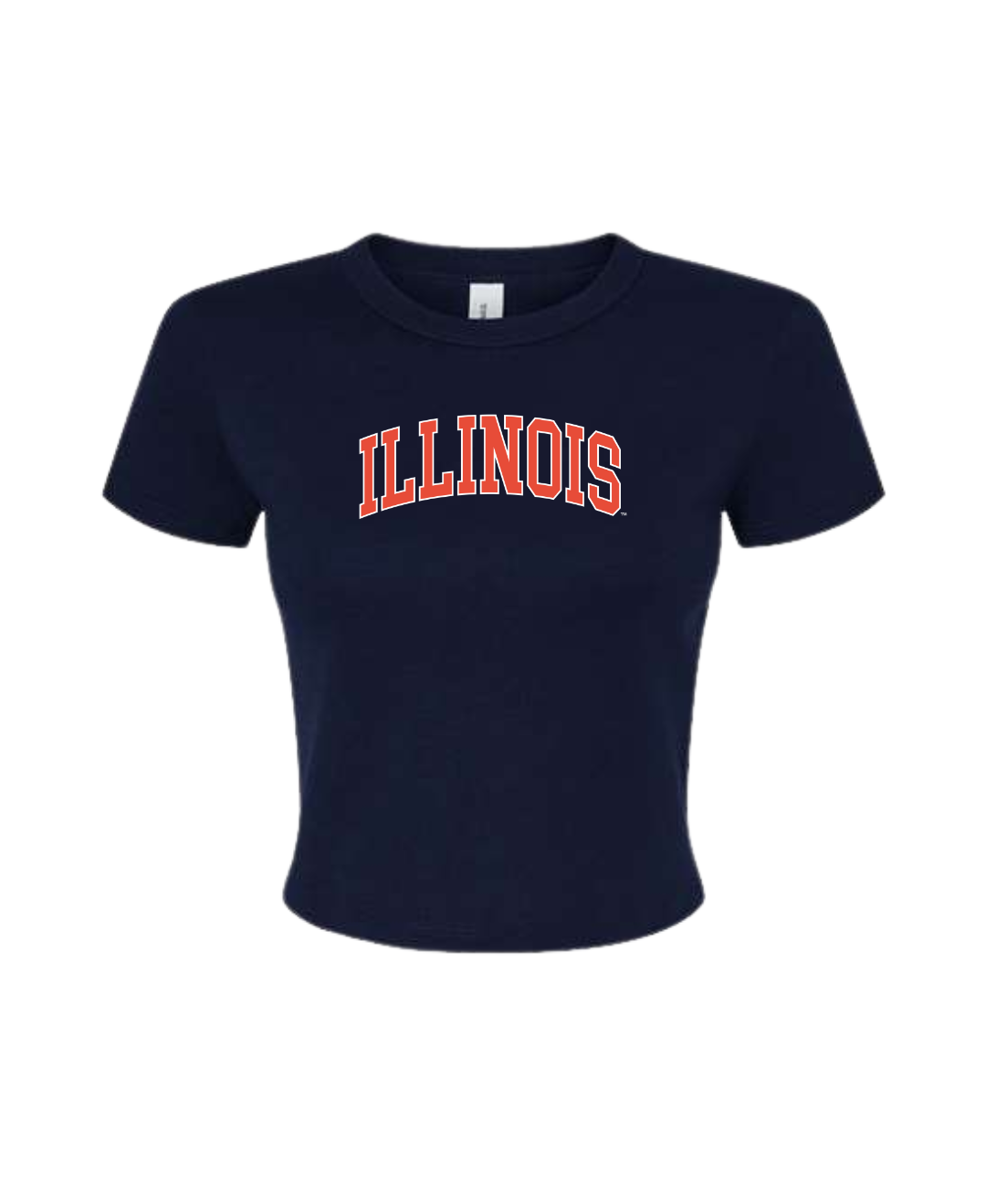 illinois_arch_freshman_2.png