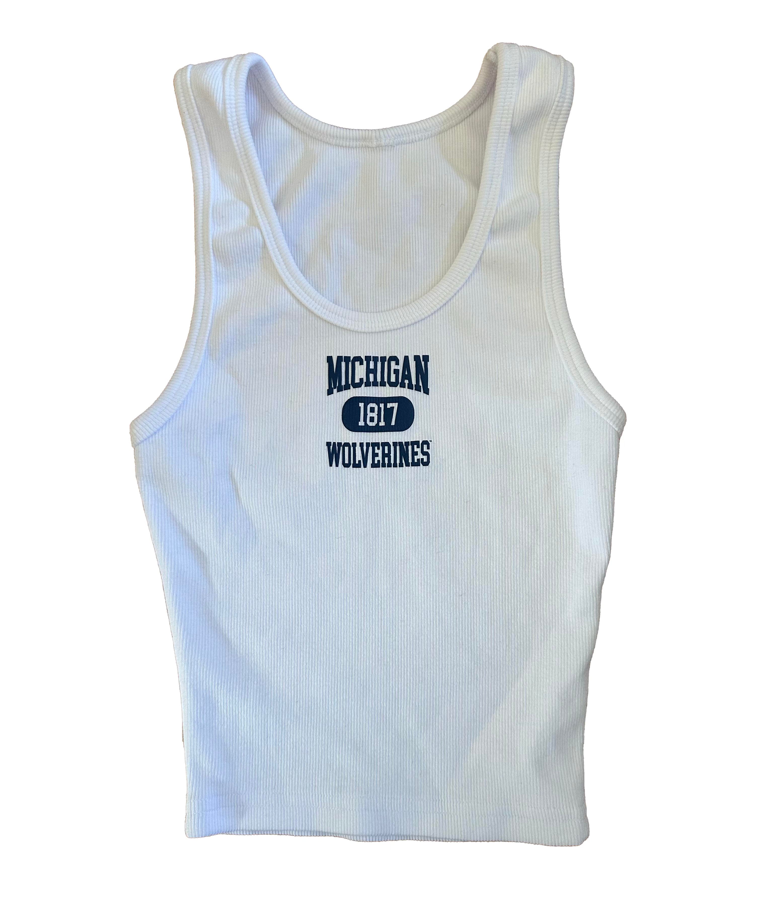 michigancampus.heic