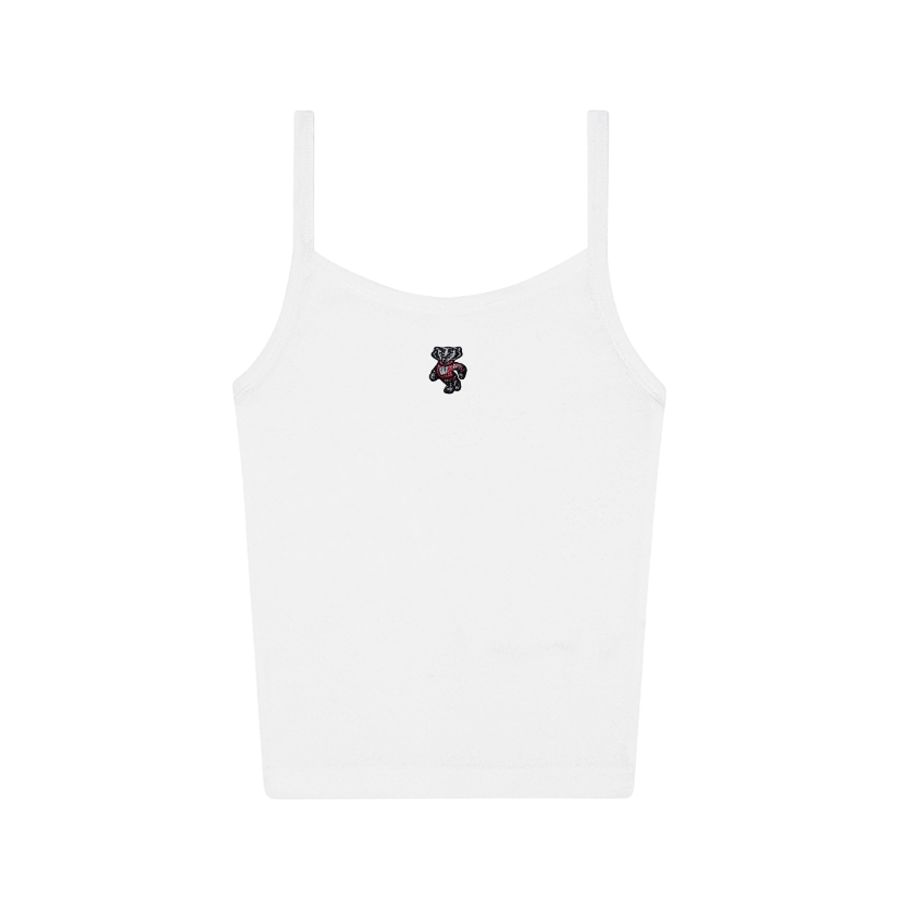 Wisconsin Everyday Tank - Recess Apparel LLC