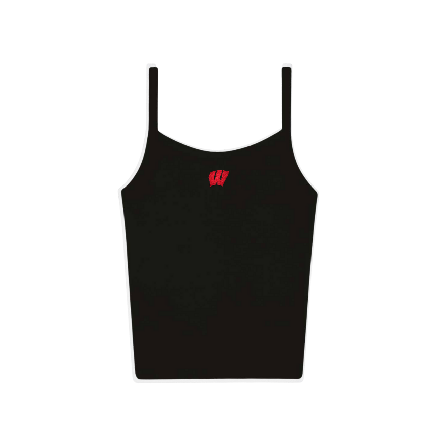 Wisconsin Everyday Tank - Recess Apparel LLC