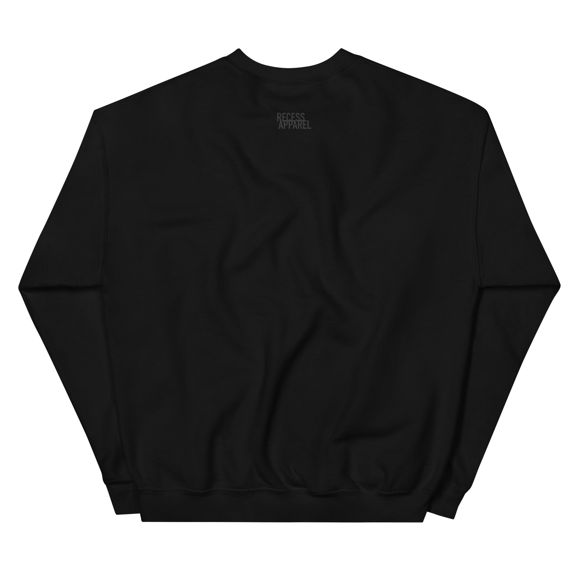 unisex-crew-neck-sweatshirt-black-back-62698834ecc0c.jpg