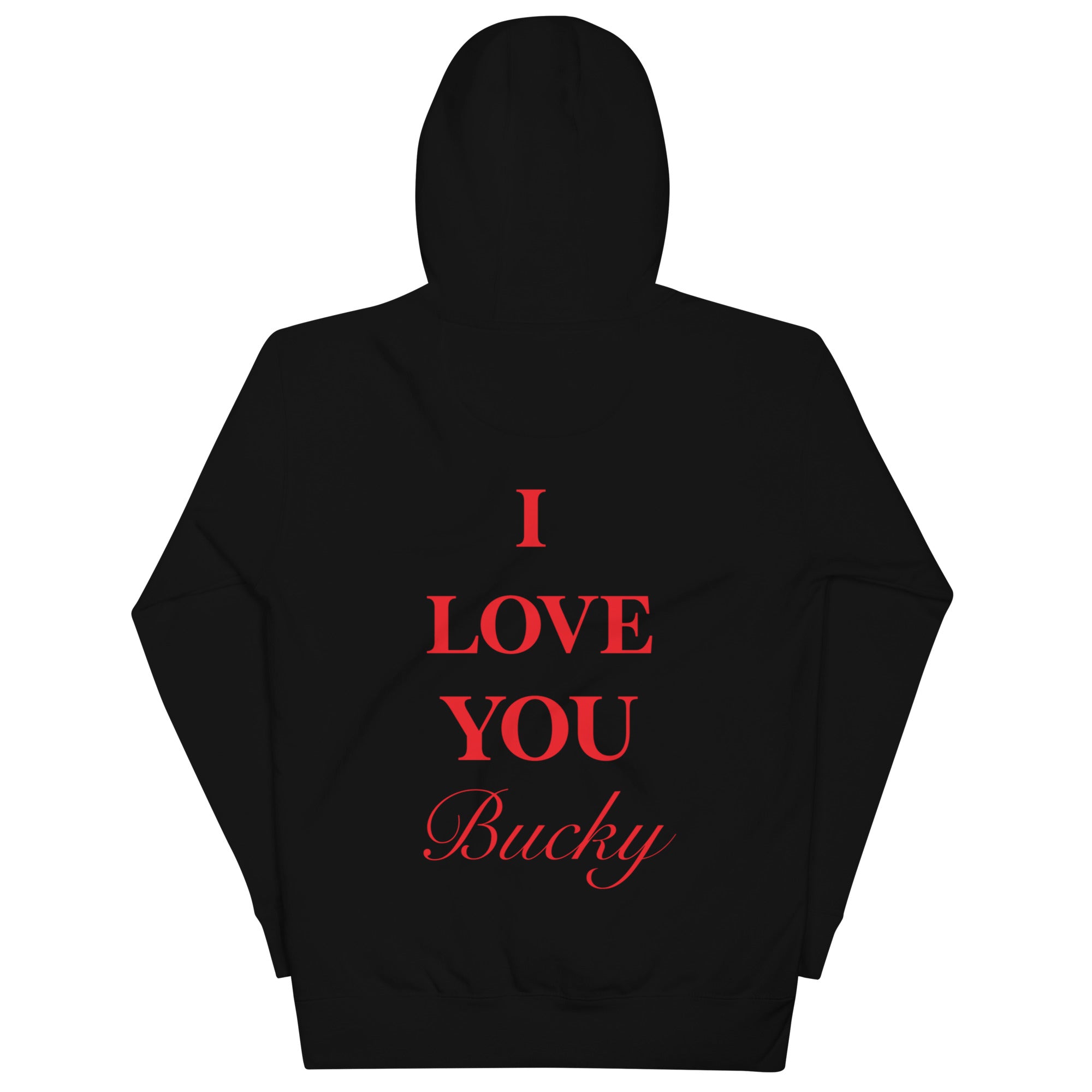unisex-premium-hoodie-black-back-6345c6a954c61.jpg